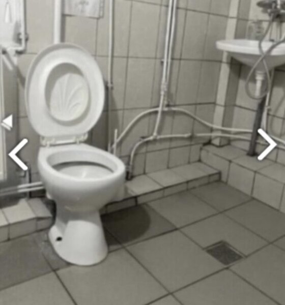 Nicolae Grigorescu, Titan, Postavarul